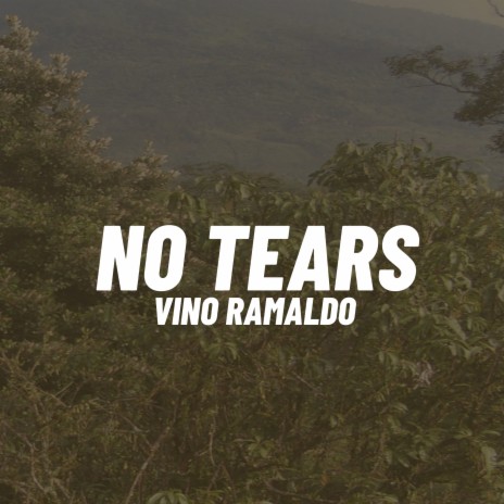 No Tears | Boomplay Music