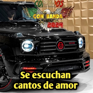 Se escuchan cantos de amor