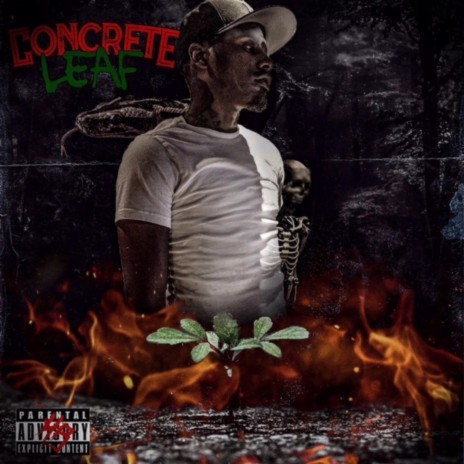 Concrete | Boomplay Music