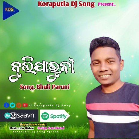 Bhuli Paruni Dhemssa (Koraputia Dhemssa Song) | Boomplay Music