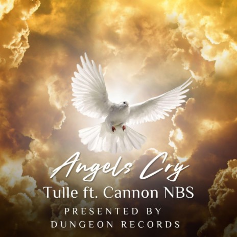 Angels Cry ft. Cannon NBS | Boomplay Music