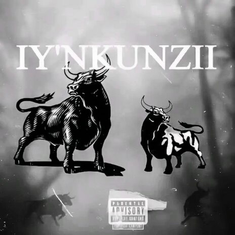 Iy'nkunzi ft. Jumbo & Rafman rsa | Boomplay Music