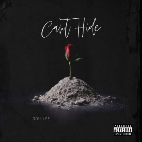 Cant Hide | Boomplay Music