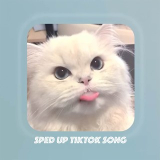 Sped up TikTok songs | Sped up Orinn