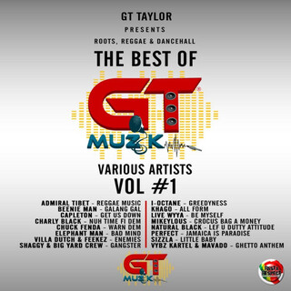 Roots, Reggae & Dancehall (The Best of GT Muzik Vol 1)