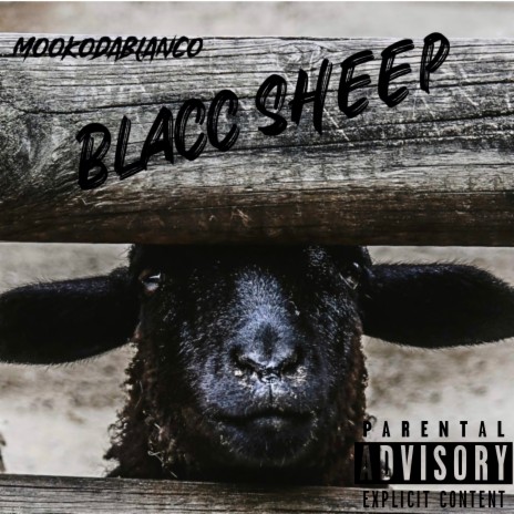 Blacc Sheep | Boomplay Music