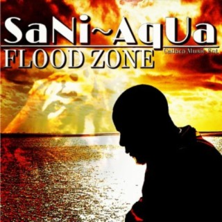 Flood Zone