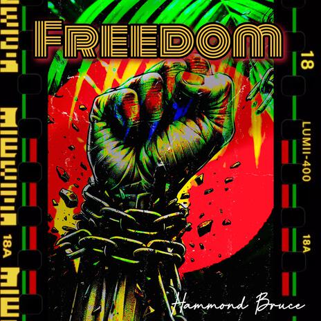 Freedom | Boomplay Music