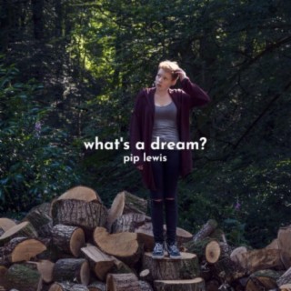 What's a Dream?