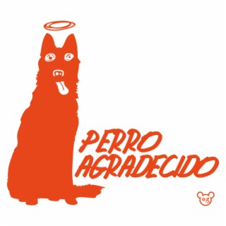 Perro Agradecido