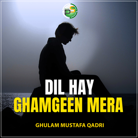 Dil Hay Ghamgeen Mera | Boomplay Music