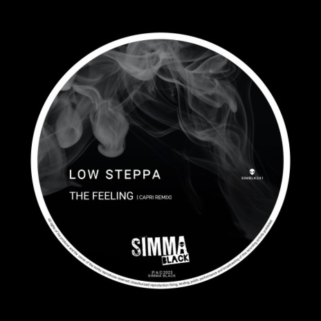 The Feeling (Capri Remix) | Boomplay Music