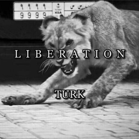 Liberation ft. Turk & LONER LI | Boomplay Music