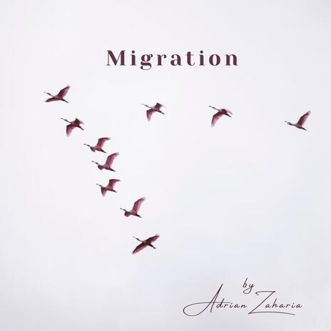 Migration | Boomplay Music