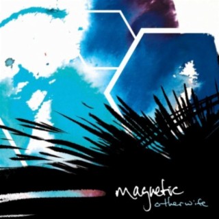 Magnetic