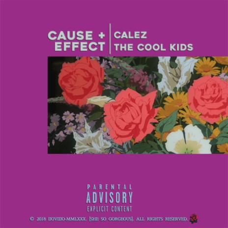 Cause + Effect ft. The Cool Kids | Boomplay Music