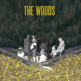 The Woods