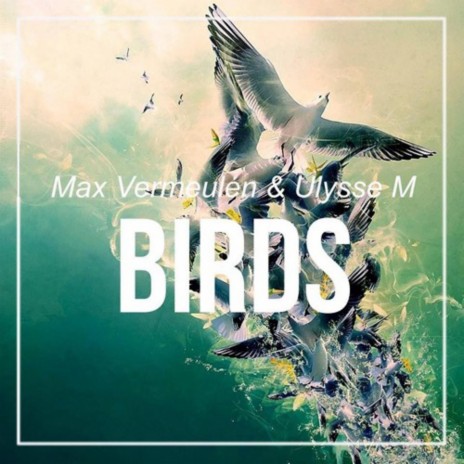 Birds ft. Ulysee M | Boomplay Music