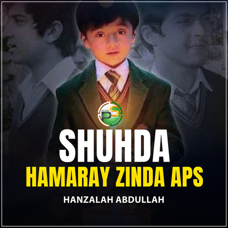 Shuhda Hamaray Zinda APS | Boomplay Music