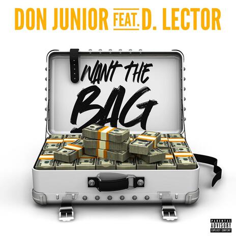 I WANT THE BAG ft. D. Lector | Boomplay Music