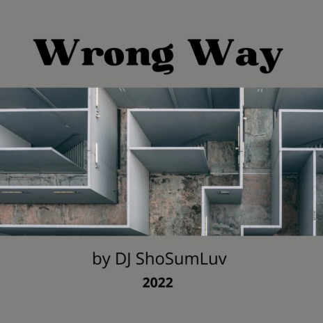 Wrong Way | Boomplay Music