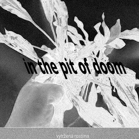 邦楽 speeding slowly,speeding slowly #2u 邦楽 speeding slowly