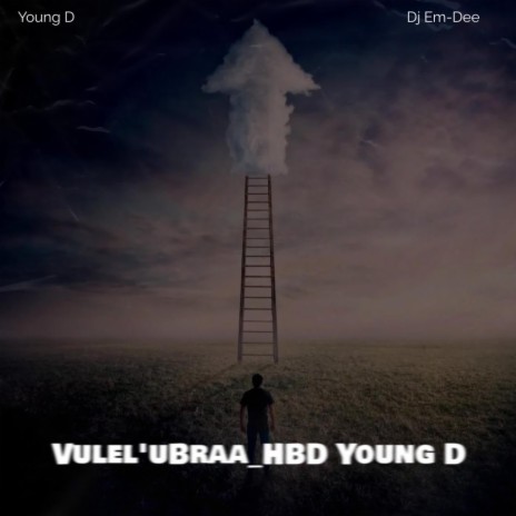 Vulel'uBra-HBD Young D ft. Young D | Boomplay Music