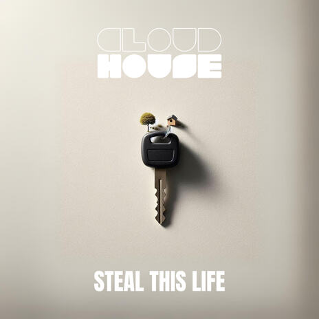 Steal This Life | Boomplay Music