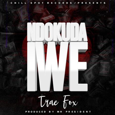 Trae Fox - Ndokuda Iwe | Boomplay Music