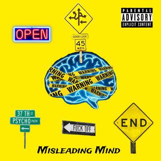 Misleading Mind