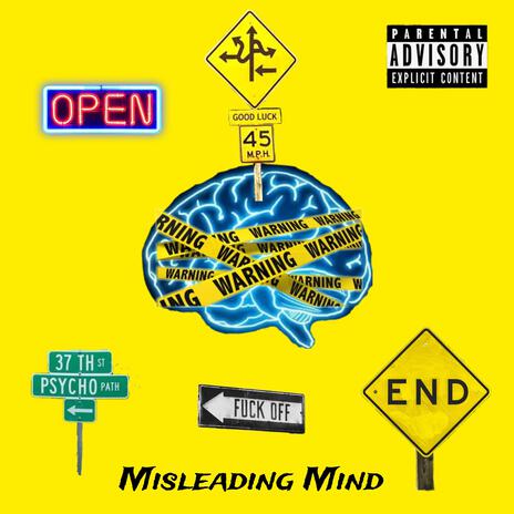 Misleading Mind | Boomplay Music