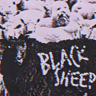 Black Sheep