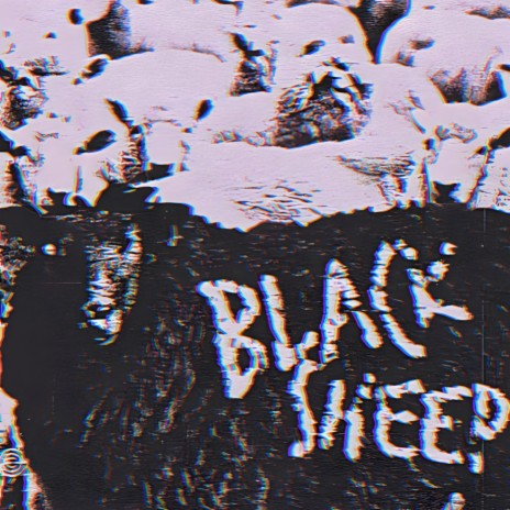 Black Sheep | Boomplay Music