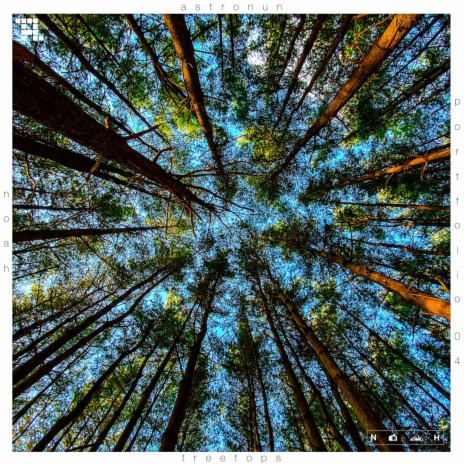 treetops | Boomplay Music