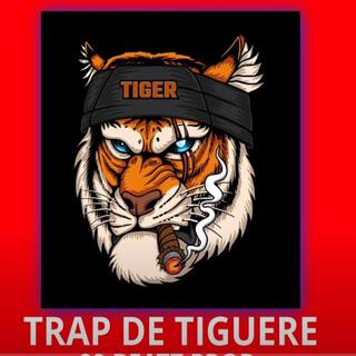 TRAP DE TIGUERE (AGRESIVE TRAP BEAT)