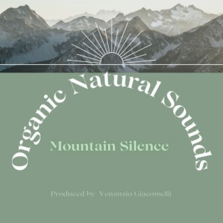 Mountain Silence