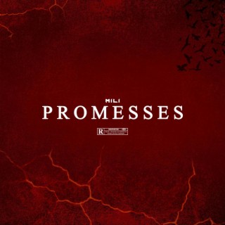 Promesses