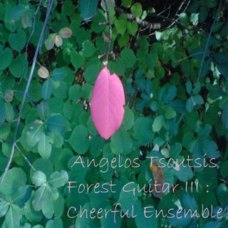 Forest Guitar III : Cheerful Ensemble