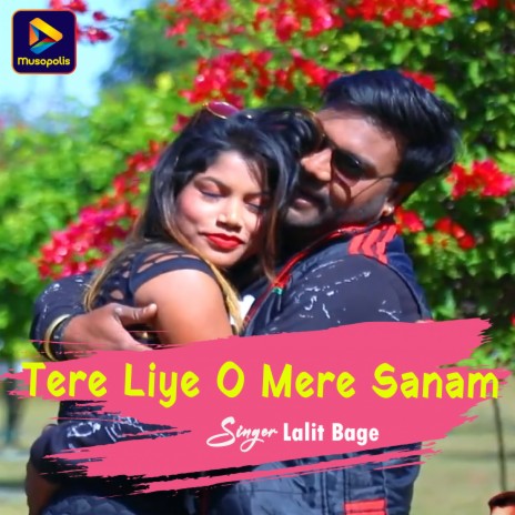 Tere Liye O Mere Sanam | Boomplay Music