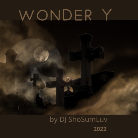 WONDER Y | Boomplay Music