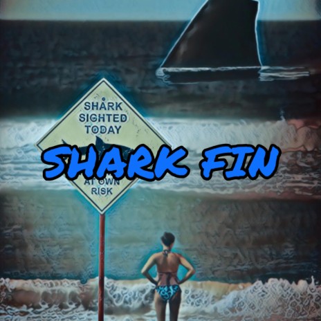 Shark Fin