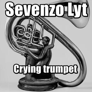 Crying trumpet (feat. Queenlyt)