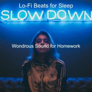 Wondrous Sound for Homework