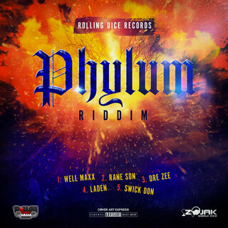 Phylum Riddim