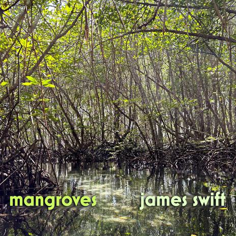 Mangroves | Boomplay Music