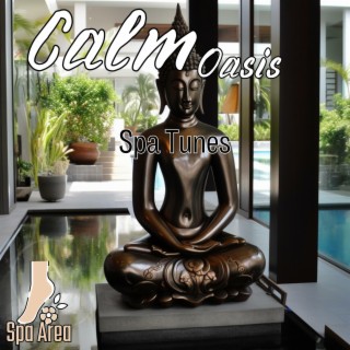 Calm Oasis: Spa Tunes