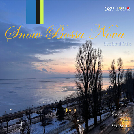 Snow Bossa Nova (Sea Soul Remix) | Boomplay Music