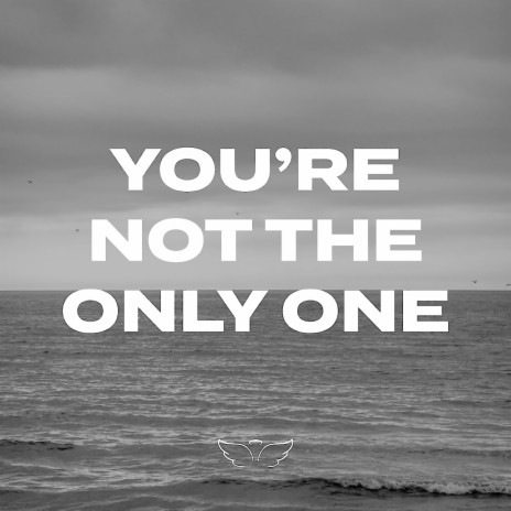 You’re Not the Only One | Boomplay Music