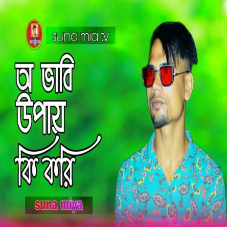 Bhabi Upai Ki Kori ft. Novel Ahmed | Boomplay Music