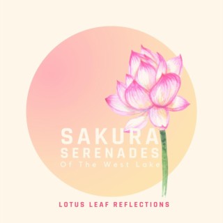 Lotus Leaf Reflections